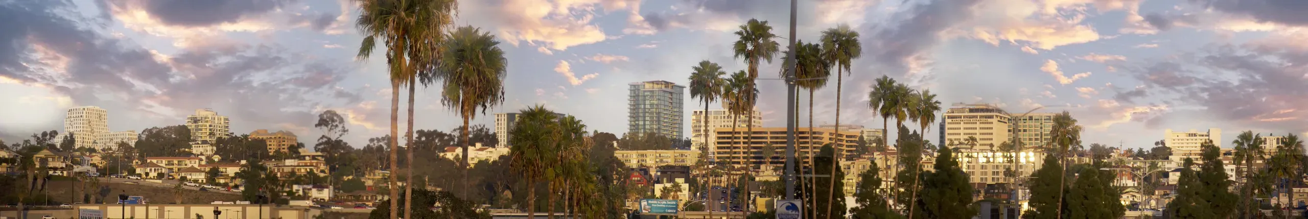 Panoramic sunset view of Los Angeles skyline with palm trees and residential buildings