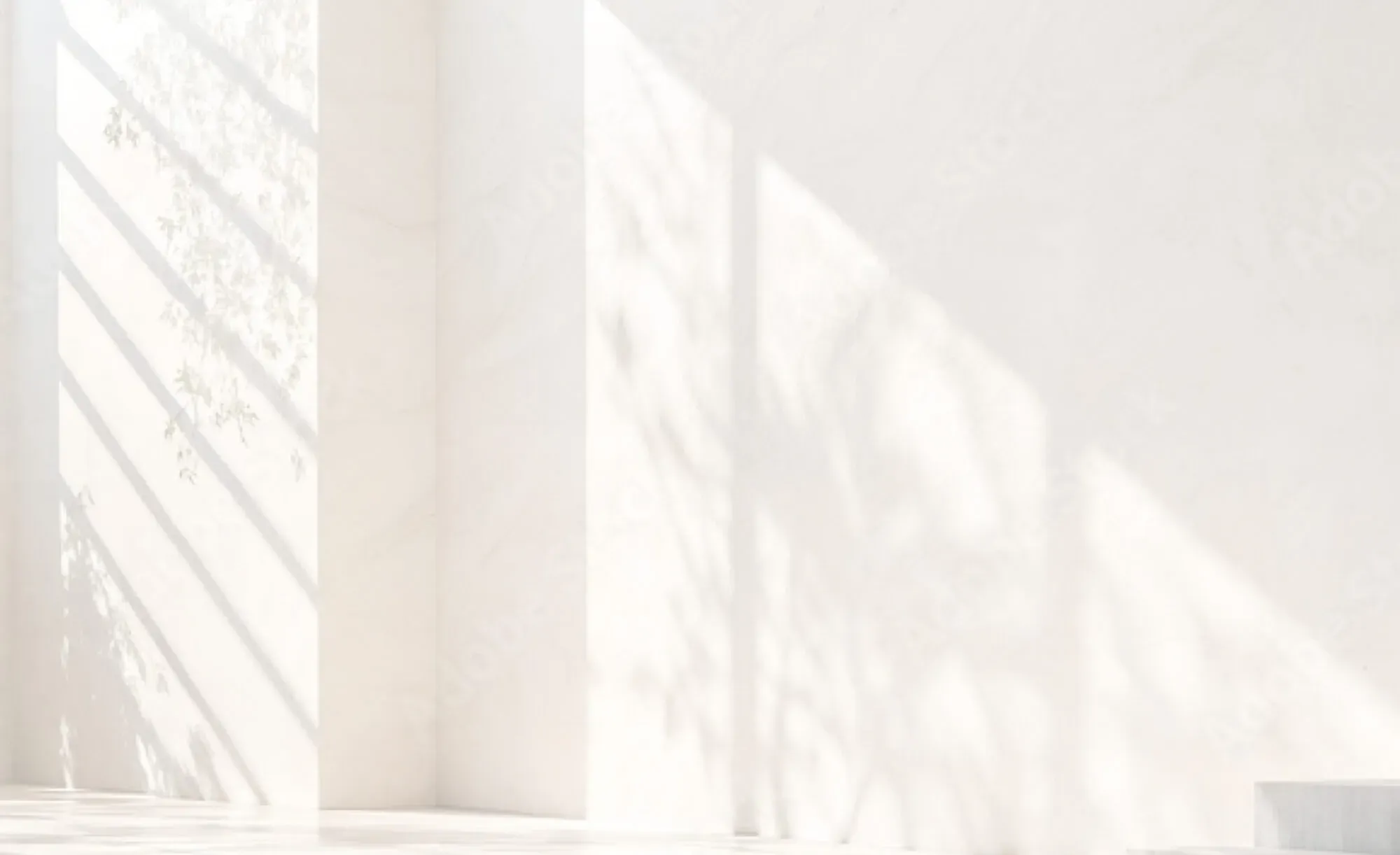 Bright, minimalist interior with natural light streaming through windows casting shadows on white walls